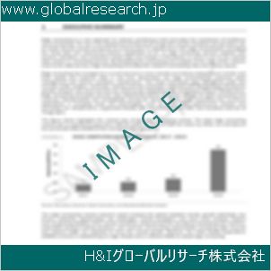 グローバルリサーチ調査資料のイメージ
